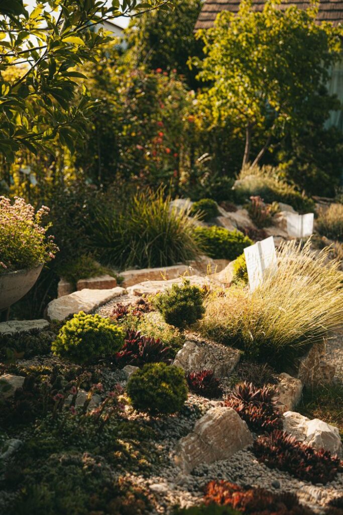 A scenic autumn garden with diverse plants illuminated by warm sunlight, showcasing natural beauty.